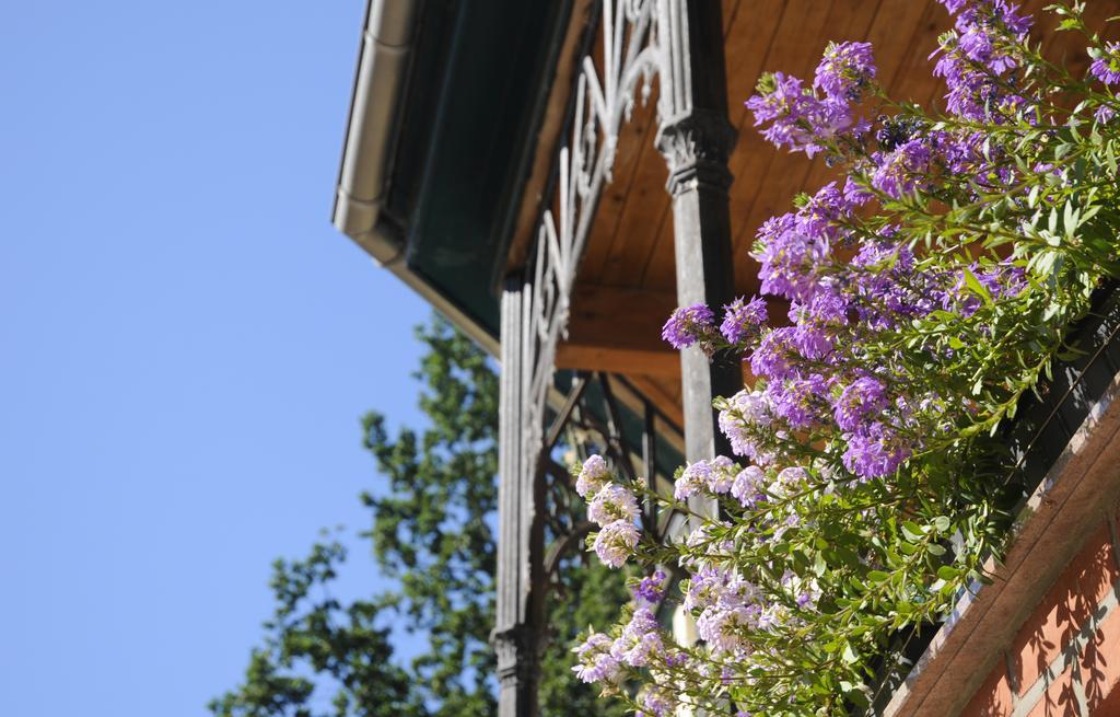 Gutshaus Alt Vorwerk Appartement Boddin Buitenkant foto